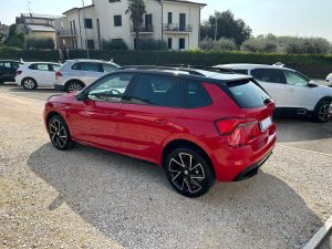 Skoda Kamiq  1.0 TSI 110 CV DSG Monte Carlo