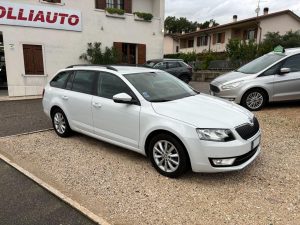 Skoda Octavia  1.6 TDI CR 110 CV DSG Wagon Executive