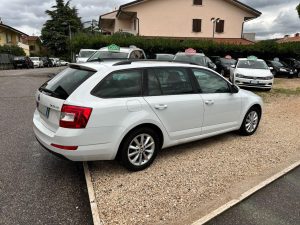 Skoda Octavia  1.6 TDI CR 110 CV DSG Wagon Executive